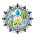 LIFEWS Resources Hub